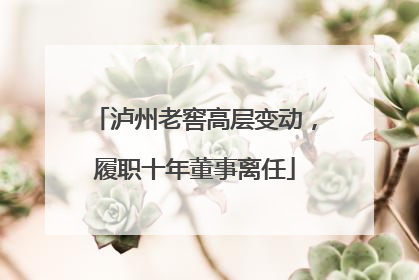 泸州老窖高层变动，履职十年董事离任